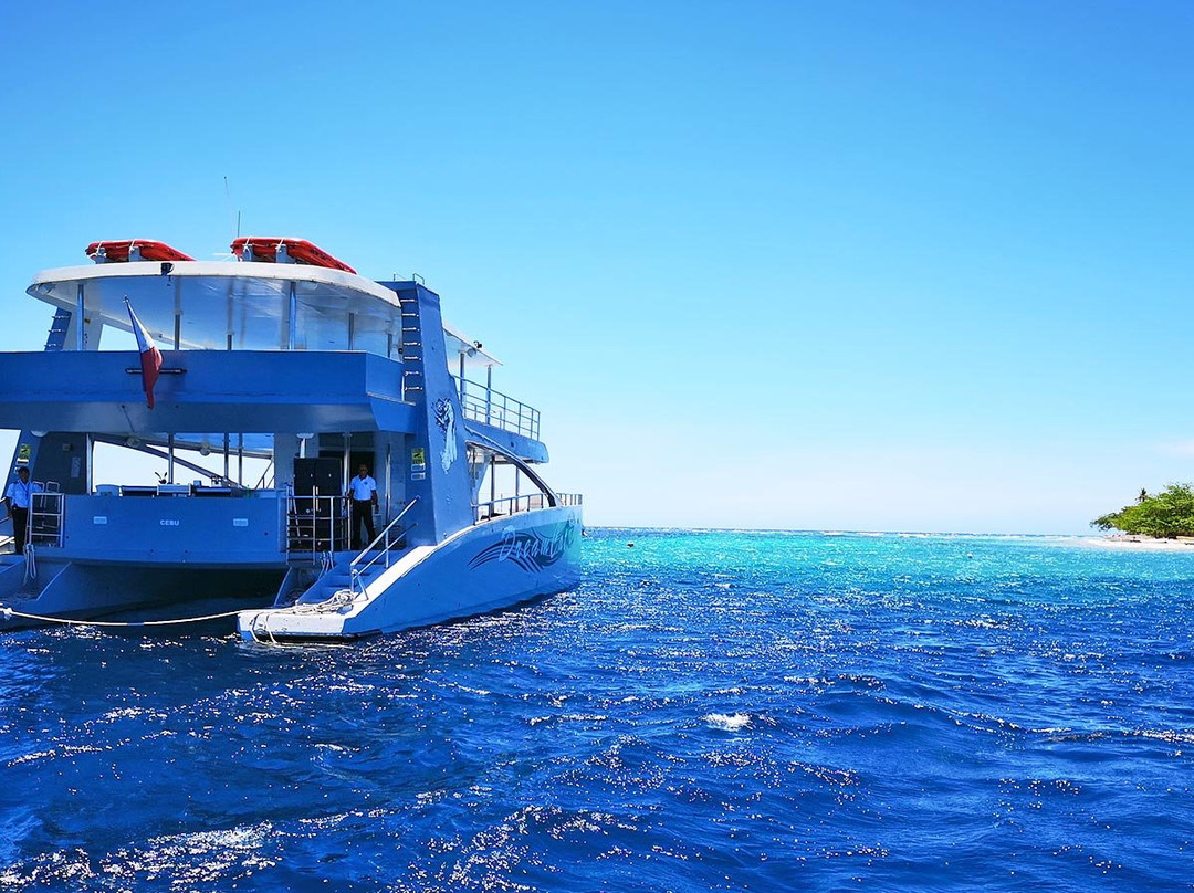 Dreamcat Marine Adventures-Panglao必去景点