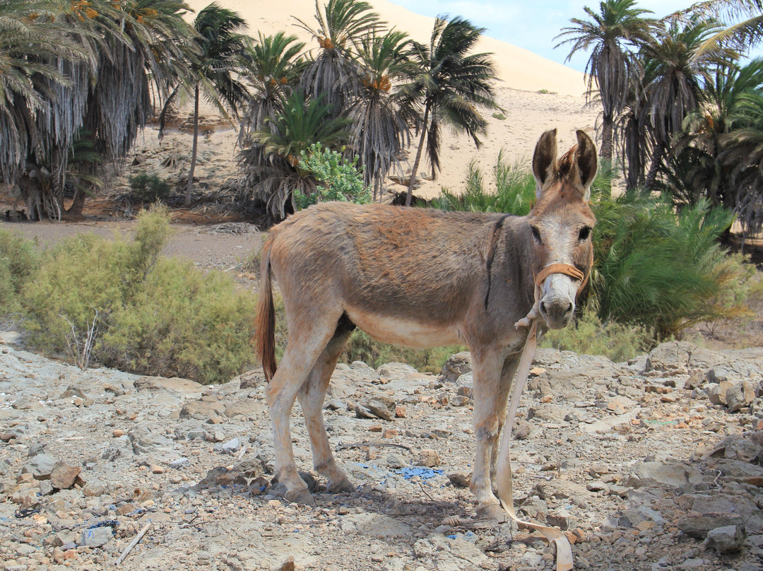 Inseltouren mit Herz-博阿维斯塔必去景点