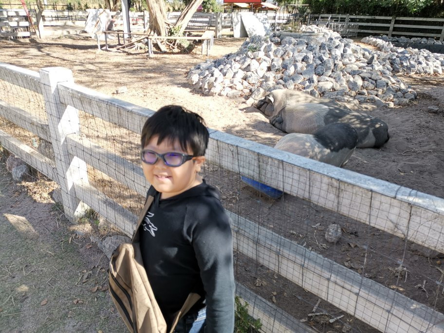 Khao Yai Farm Village景点图片