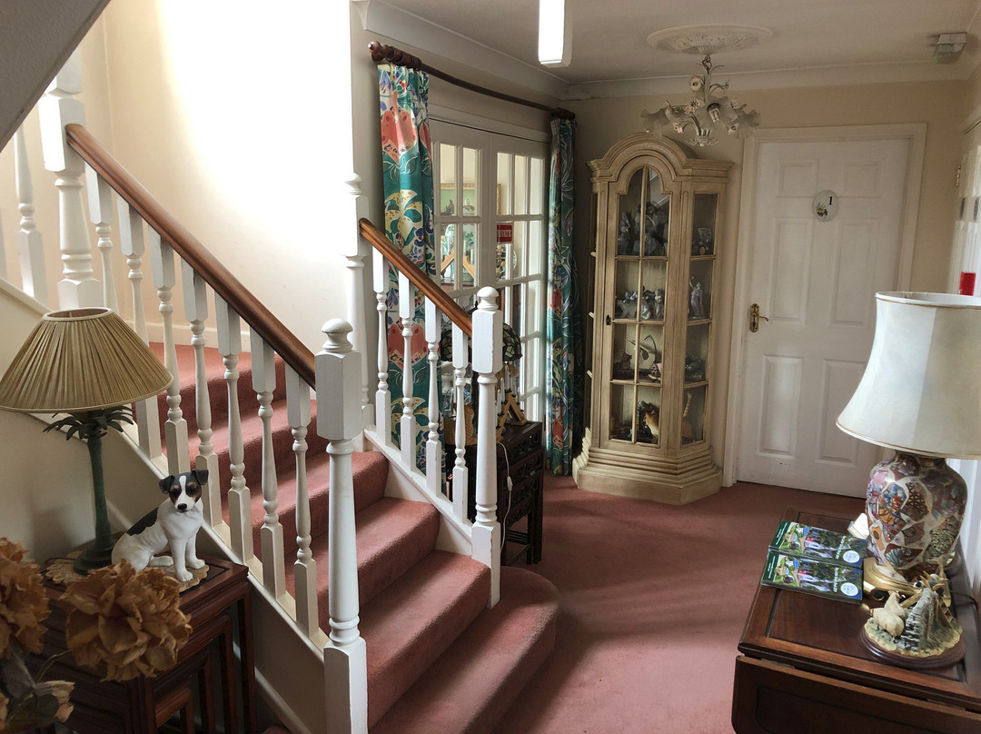 The Meadow House主图