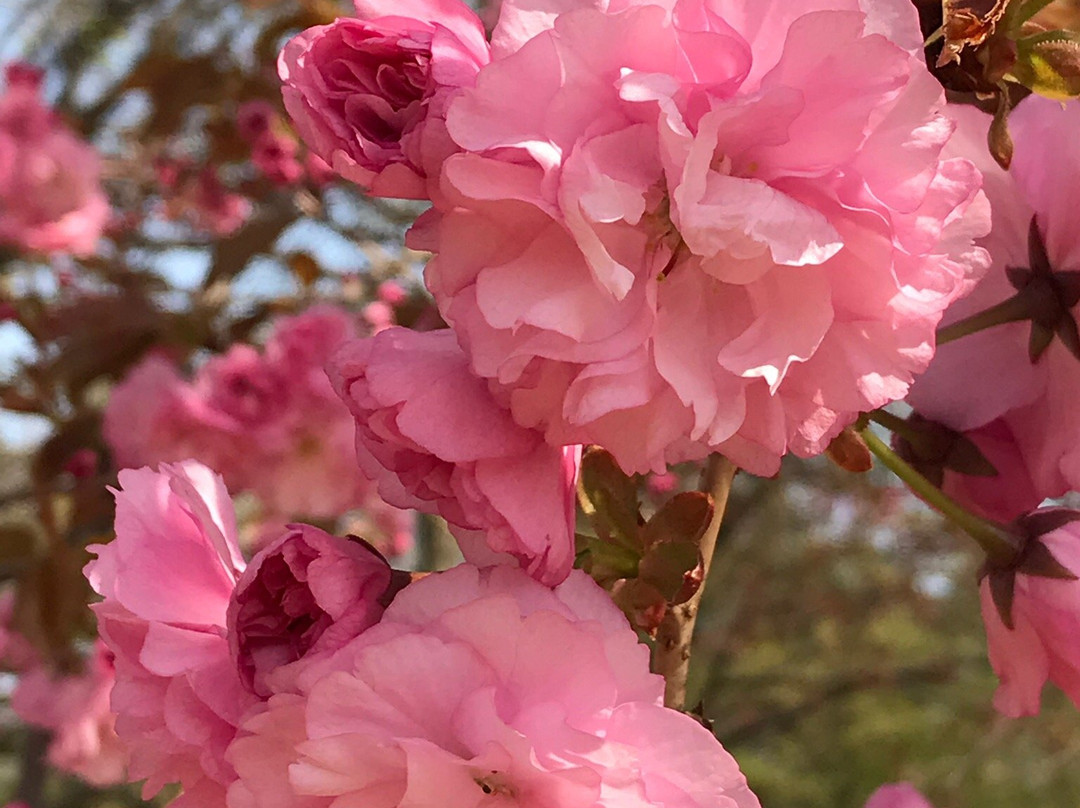 Wansan Park-全州市必去景点