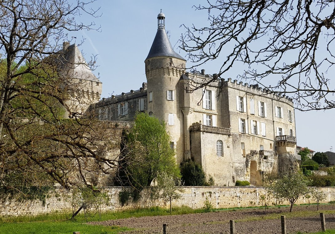 Chateau de Jonzac景点图片