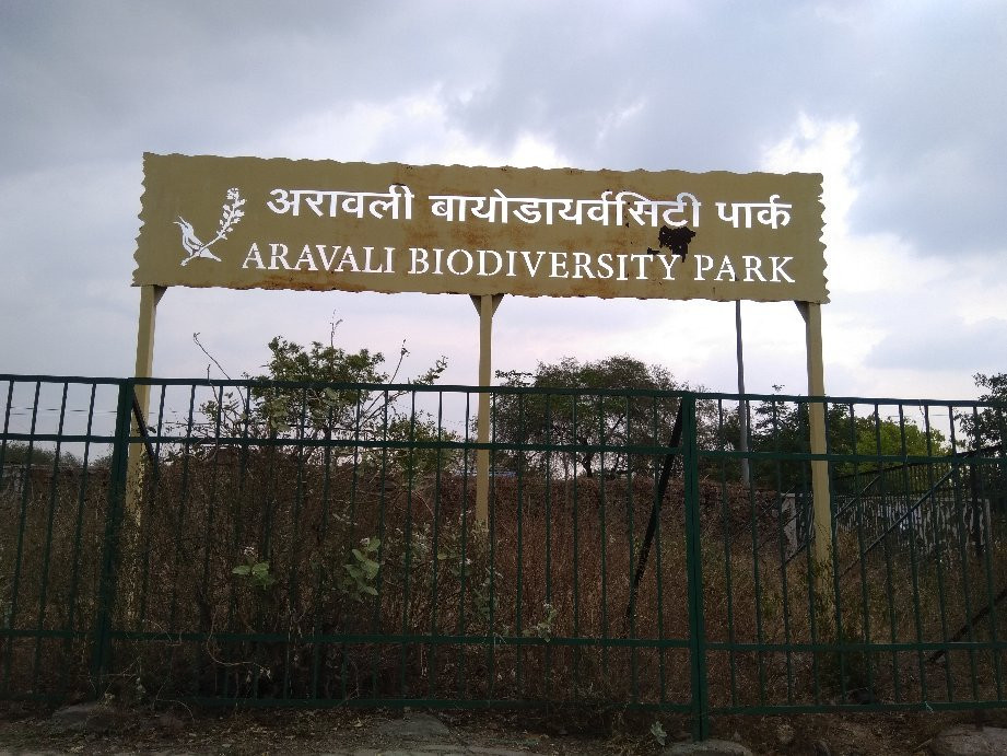 Aravali Biodiversity Park景点图片