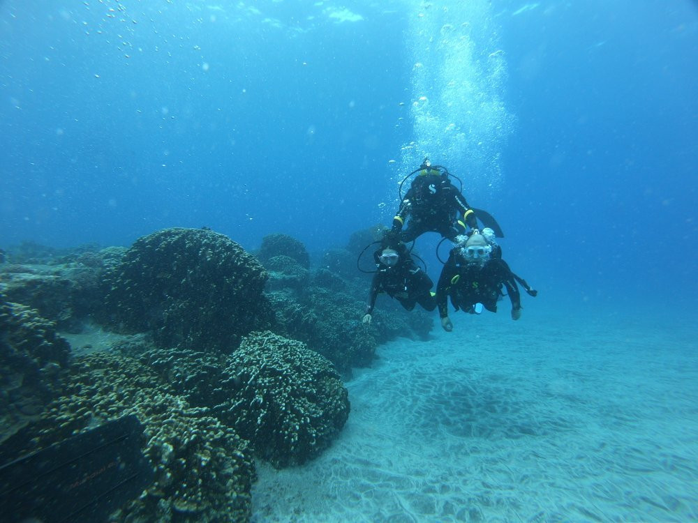 Rapa Nui Dive Center-安加罗阿必去景点