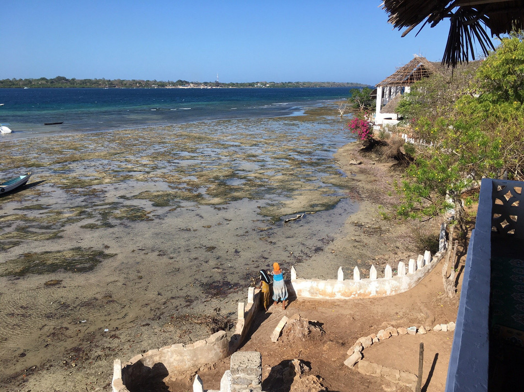 Wasini Mpunguti Lodge & Restaurant