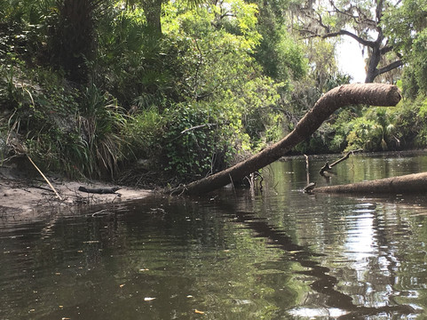 Ray's Canoe Hideaway-布雷登顿必去景点