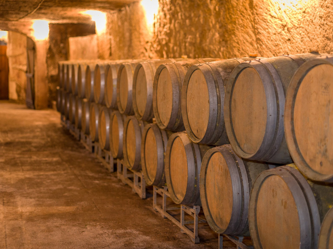 Domaine de la Perruche景点图片