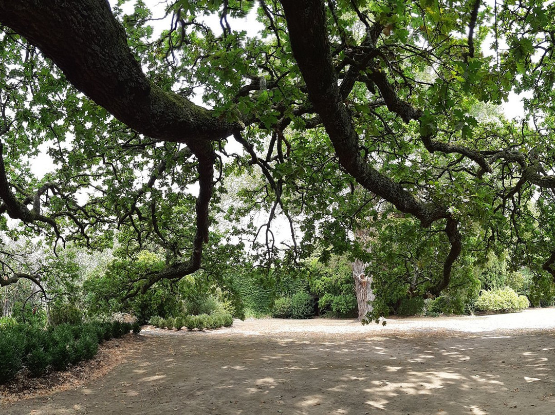 Coombe Yarra Valley景点图片