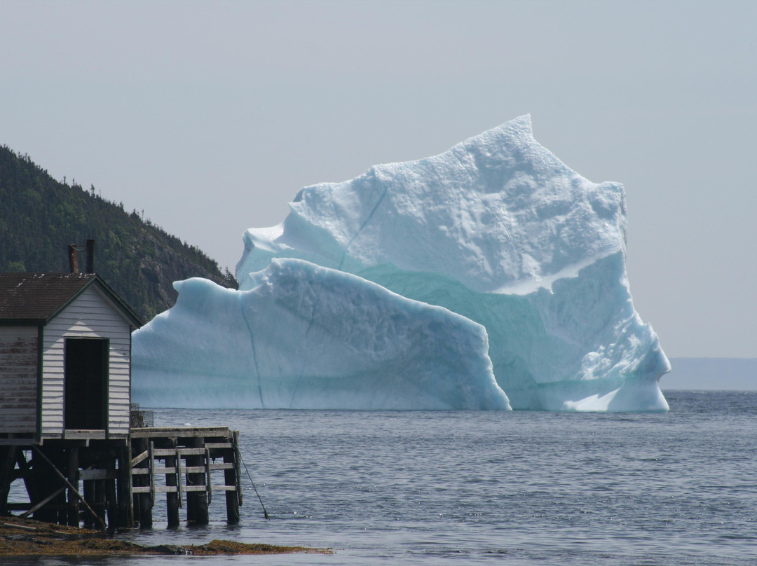 Wildland Tours-圣约翰必去景点