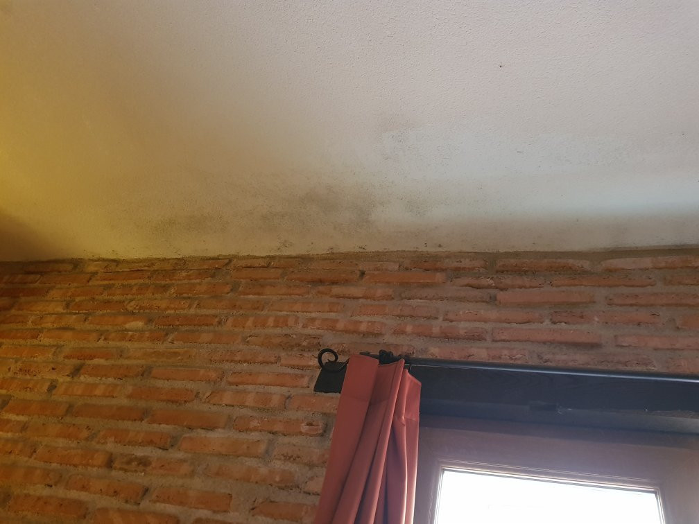 Hotel La Fuente主图