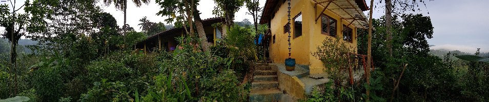 Natural Mystic Sanctuary主图