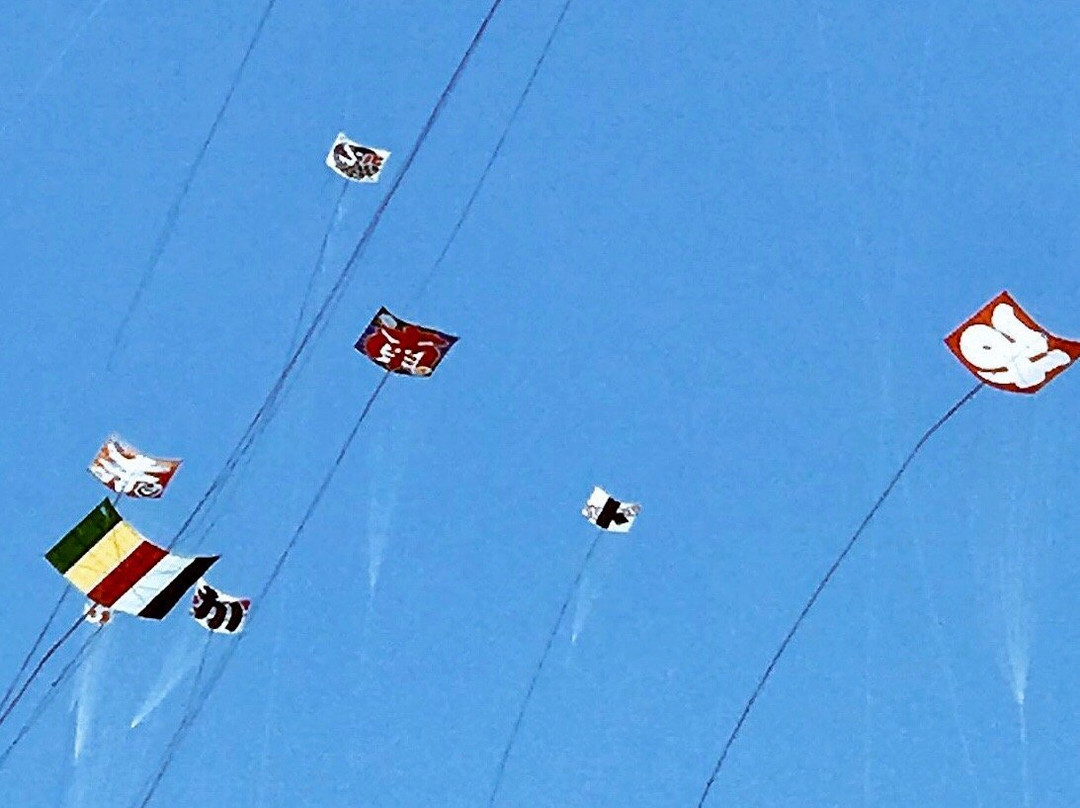 Hamamatsu Festival-滨松市必去景点