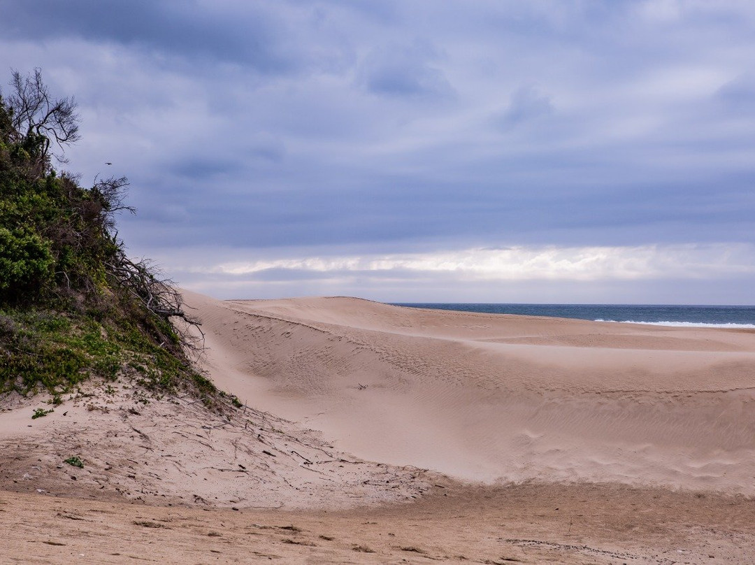 Mpekweni Beach Resort主图