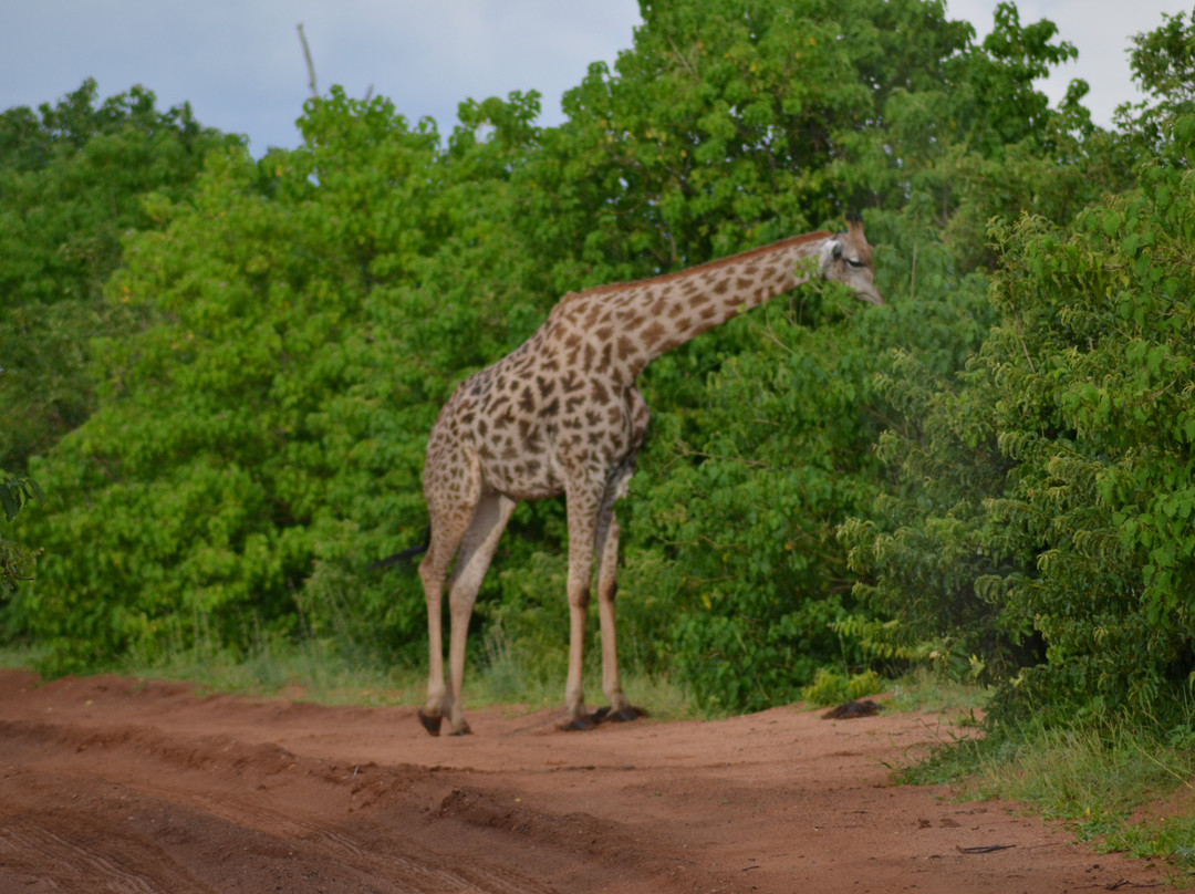 Muizenberg Tours and Travel-开普敦中心区必去景点