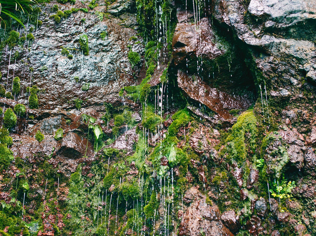 Ochozu Waterfall景点图片