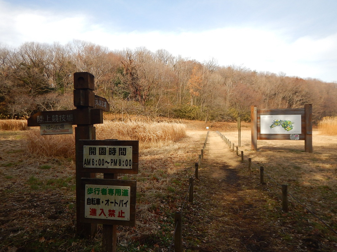 Machida City Nodatsu Park-町田市必去景点
