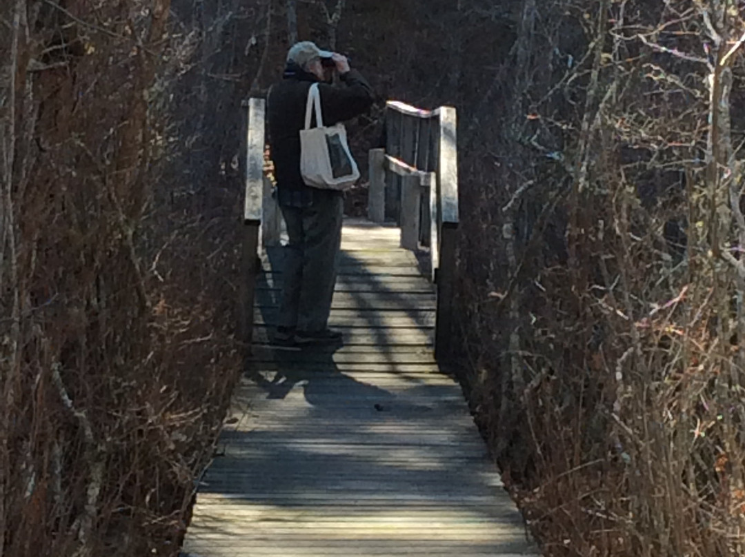 Mass Audubon Wellfleet Bay Wildlife Sanctuary景点图片