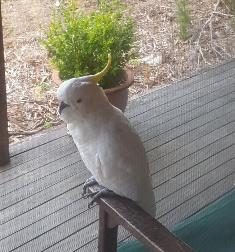 度阿顿斯度假村酒店主图