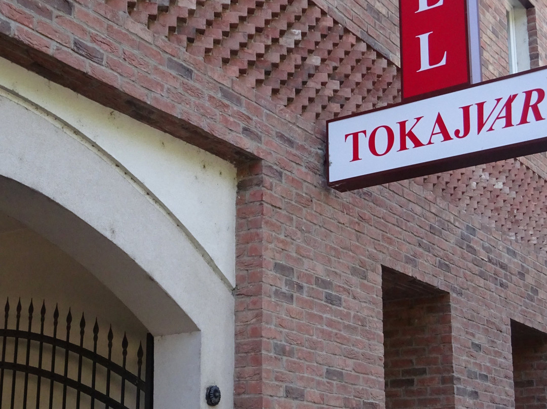 Tokajvar Hotel主图