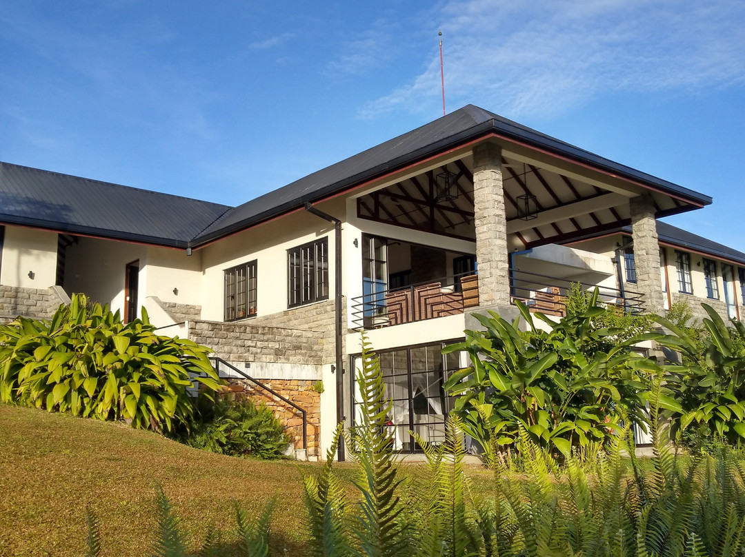 Camellia Hills主图