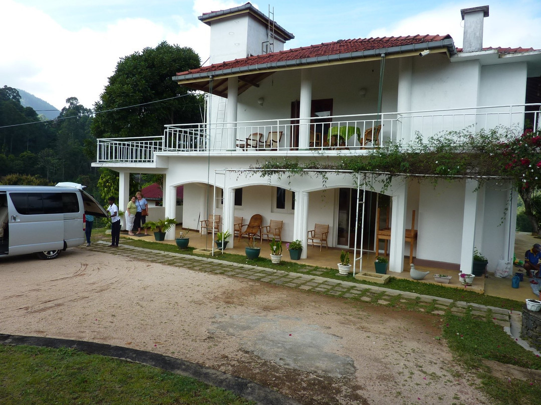 Morning Mist Guesthouse主图