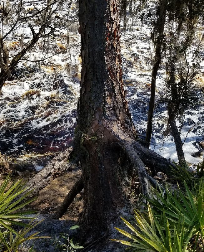 Big Shoals State Park-White Springs必去景点