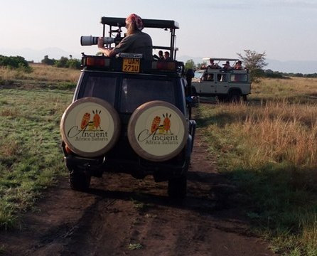 Ancient Africa Safaris
