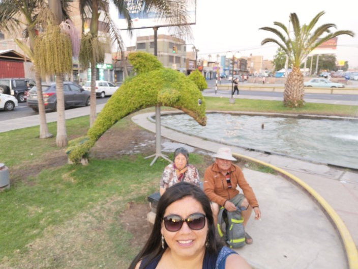 Bosque Municipal De Tacna-塔克纳必去景点