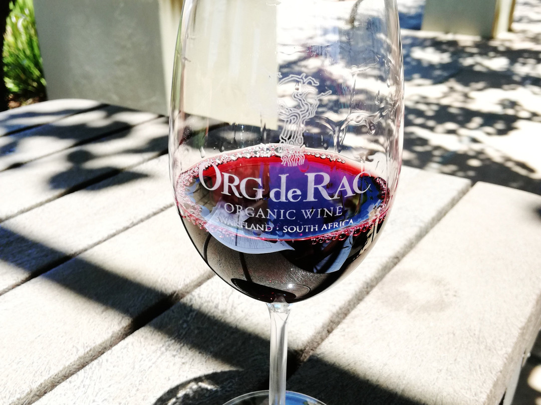Org de Rac Organic Wine Estate-Piketberg必去景点