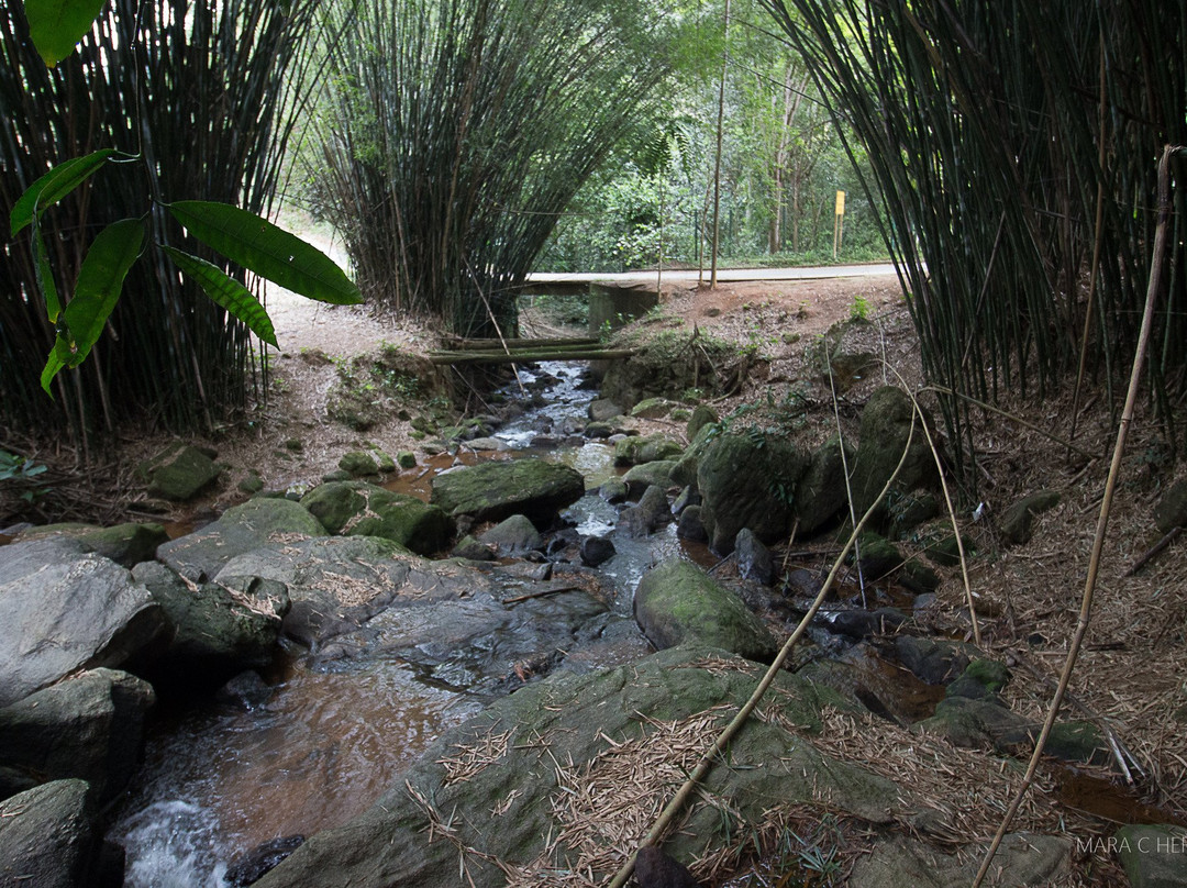 Cascata Do Galo景点图片