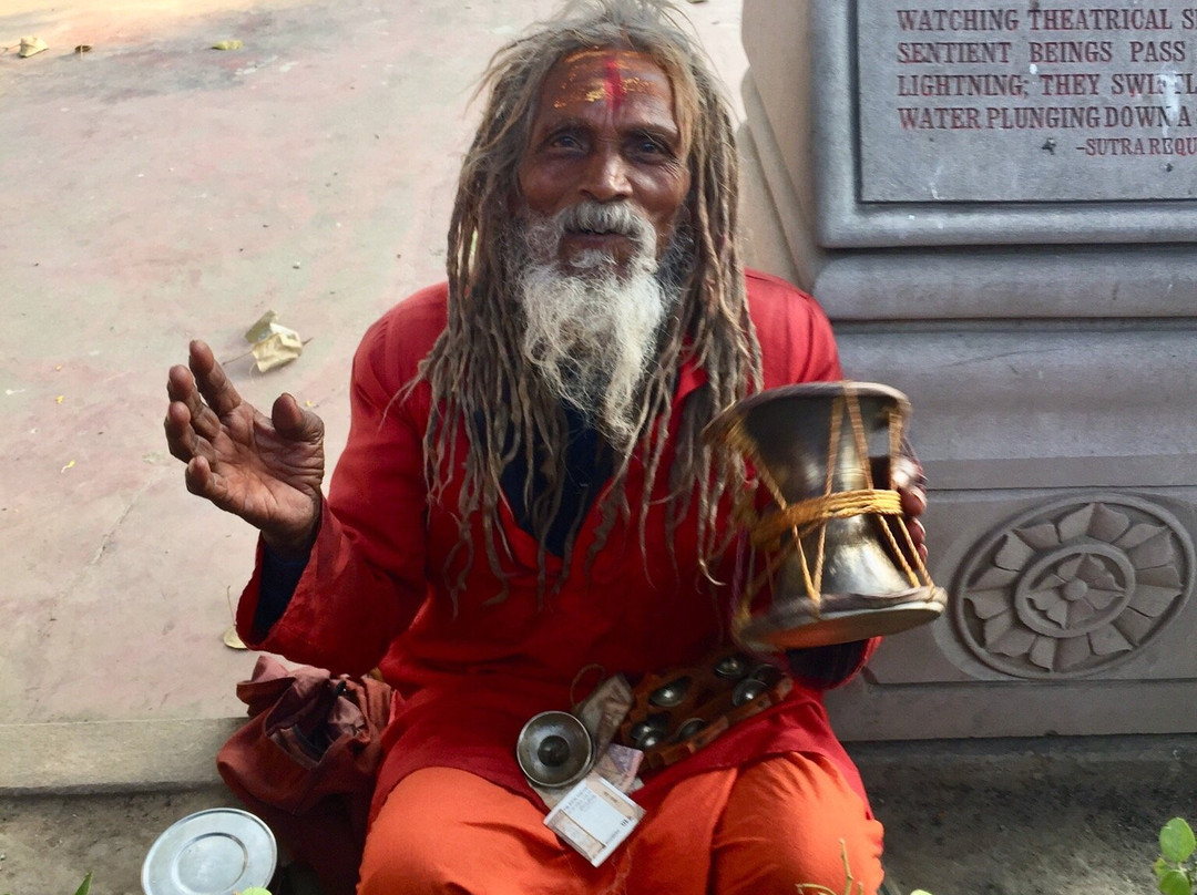 Bodhi Tree-菩提伽耶必去景点