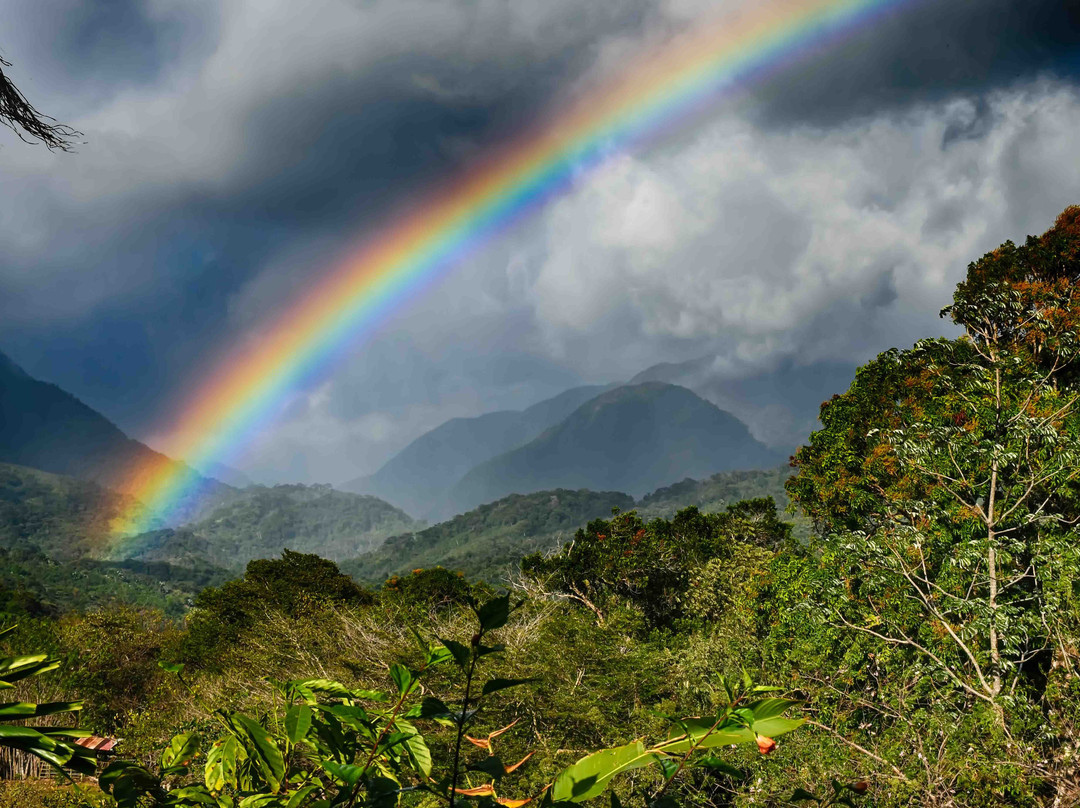 Coffee Mountain Inn主图