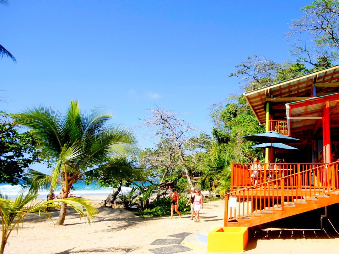 Domicil Yacht Hotel主图