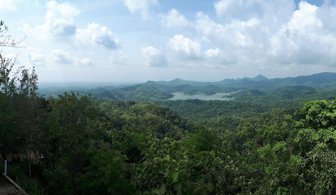 Kalibiru National Park景点图片