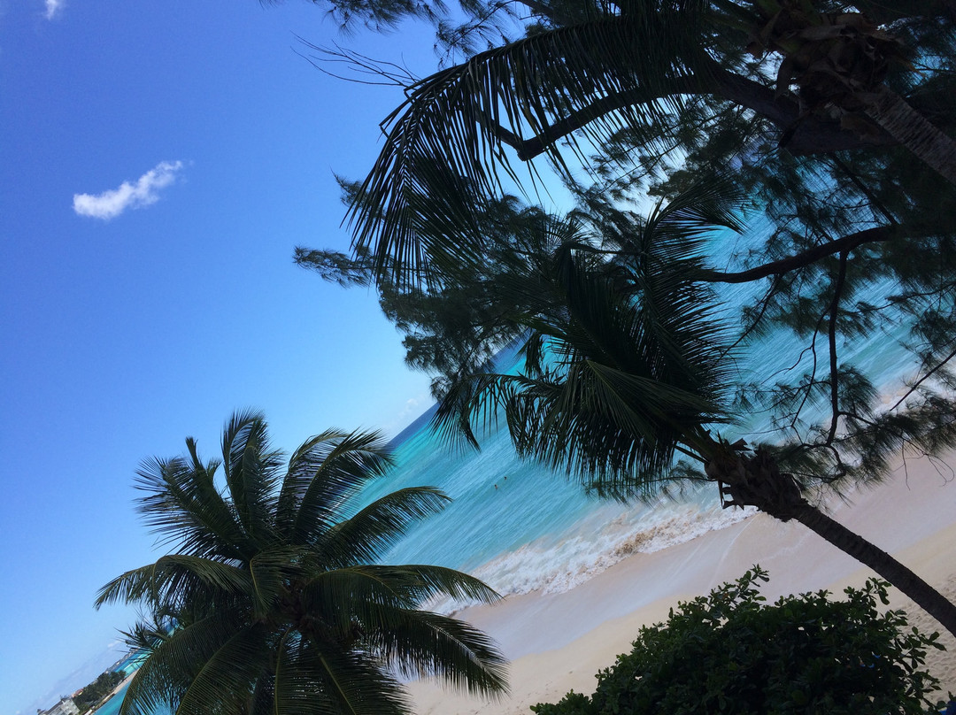 Coral Mist Beach Hotel主图