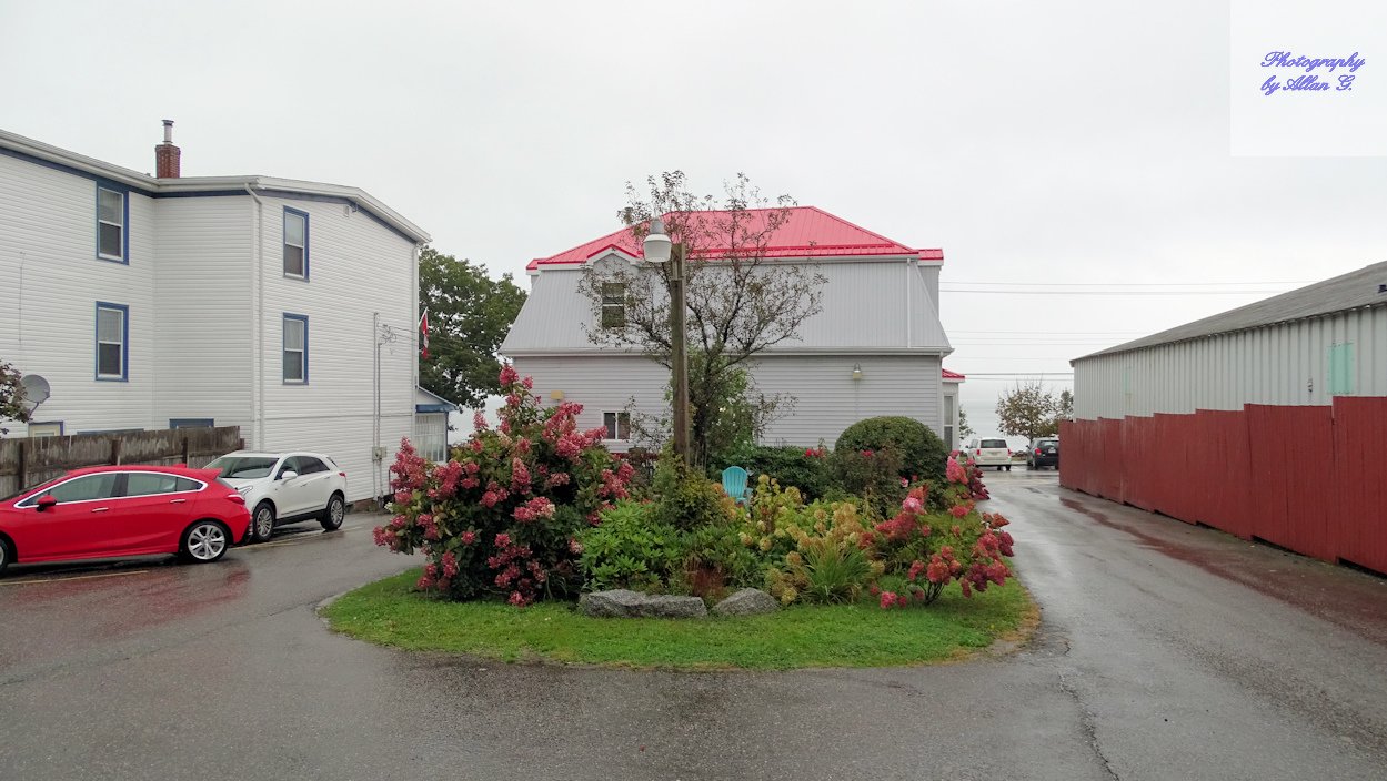 Harmony Bed & Breakfast-浴室