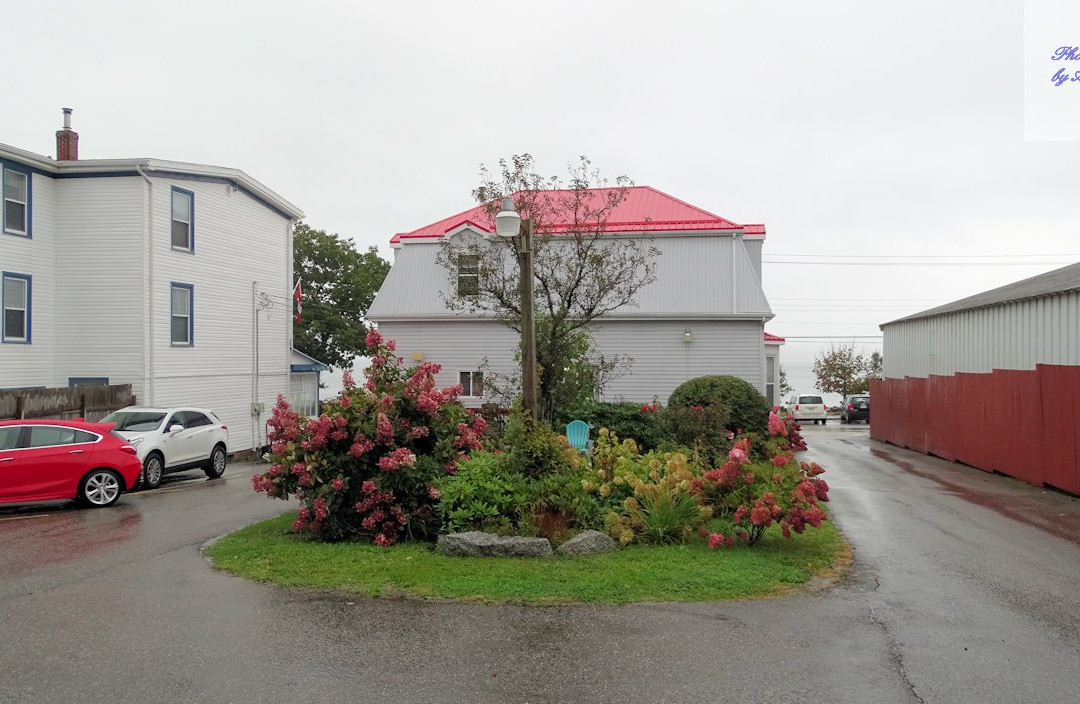 Harmony Bed & Breakfast主图