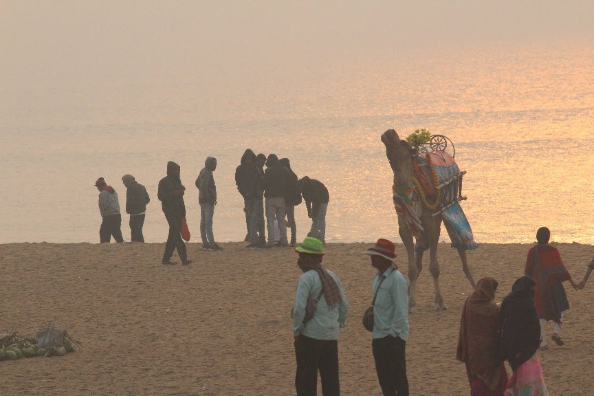 Swargadwar Sea Beach, Puri, Odisha景点图片