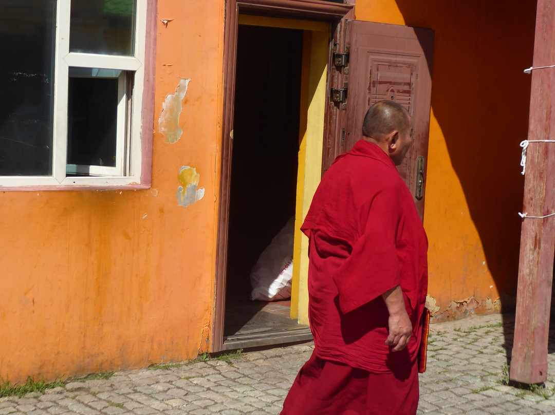 Gandantegchenling Monastery-乌兰巴托必去景点
