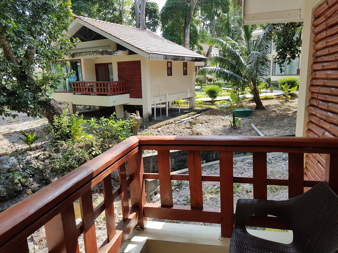 Dolphin Resort主图