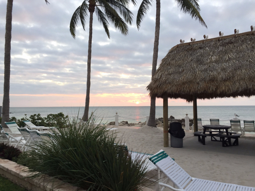 Continental Inn主图