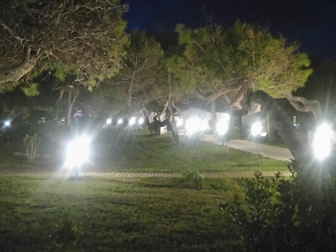 BV Kalafiorita Resort主图