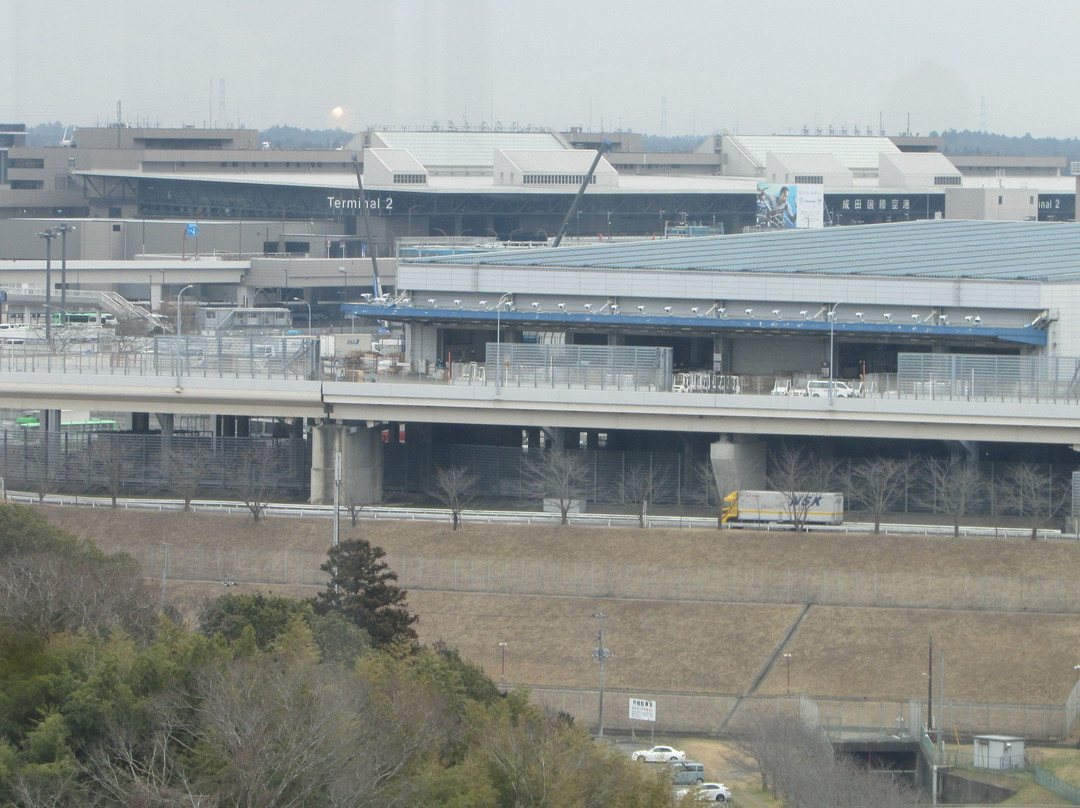 成田马罗德国际酒店主图