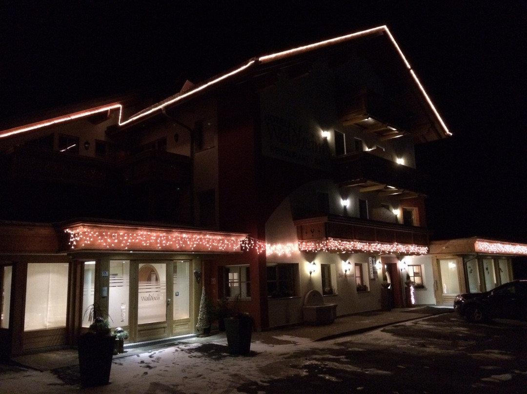 Hotel Waldheim主图