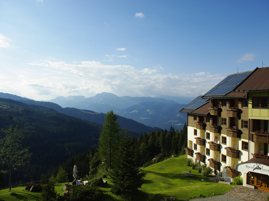 Alpenhotel Plattner主图