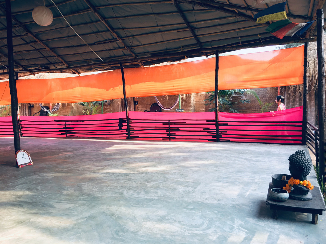 Drishti Yoga International主图