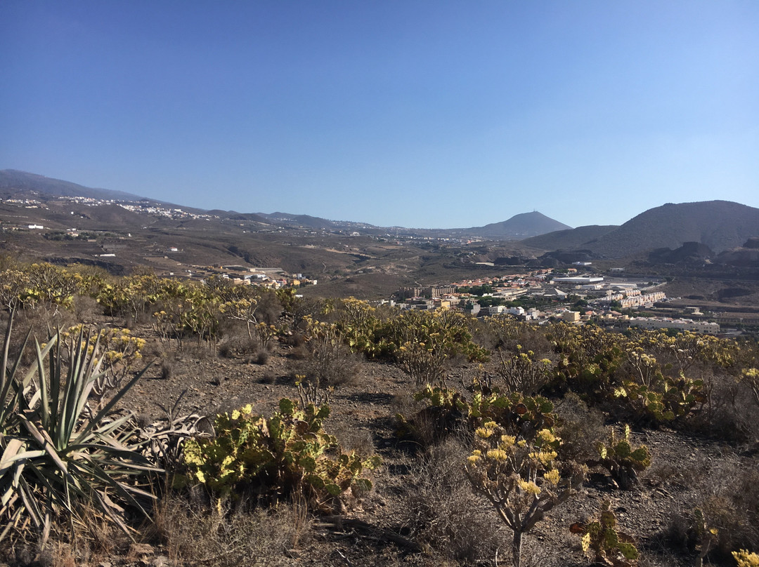 Horse Riding Adventures in Tenerife景点图片