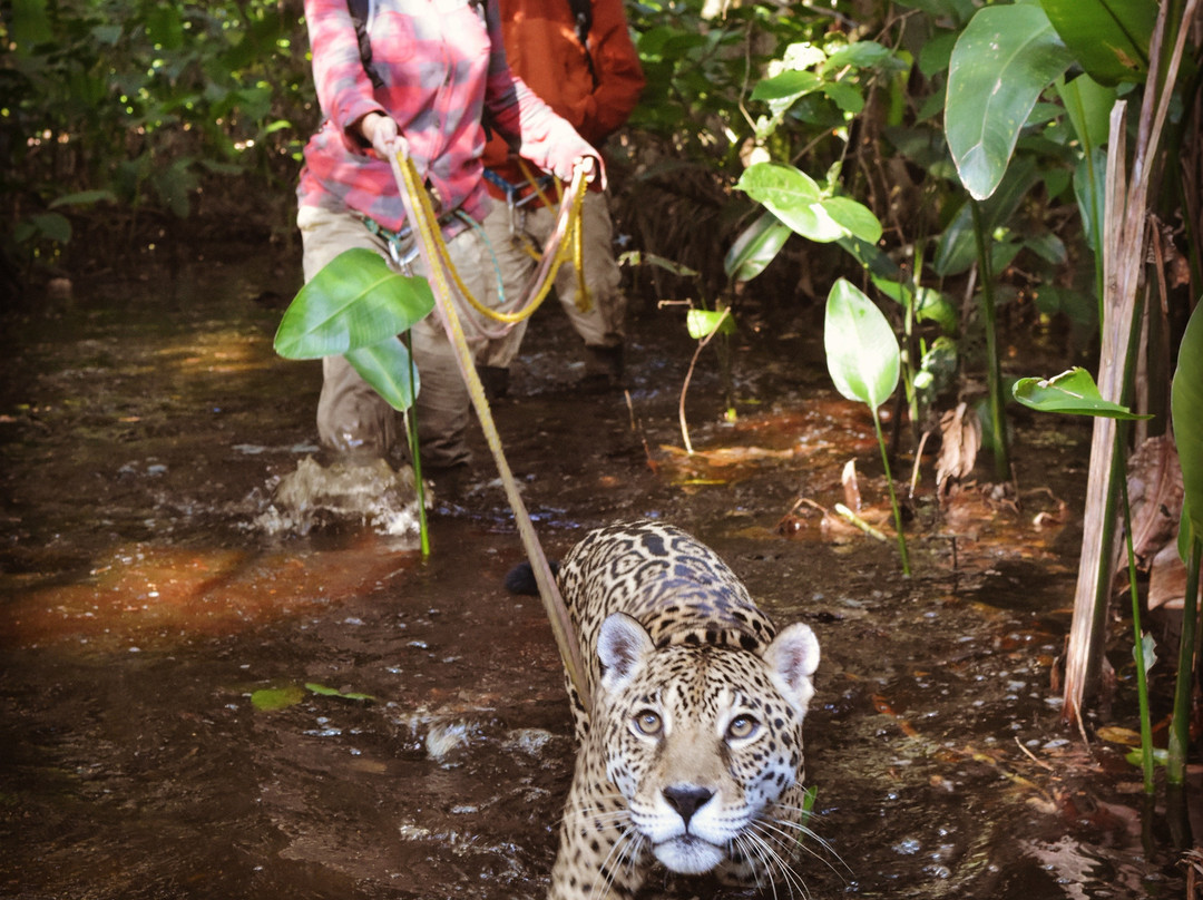 Comunidad Inti Wara Yassi (CIWY)-科恰班巴必去景点
