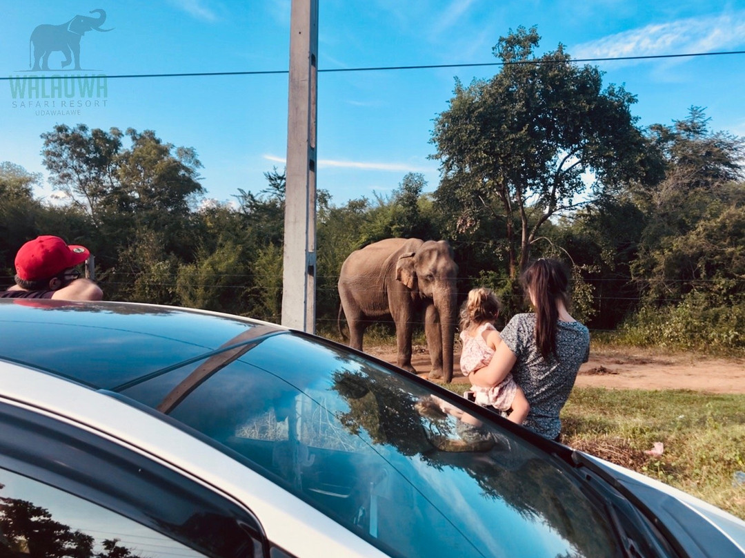 Walauwa Safari Resort主图