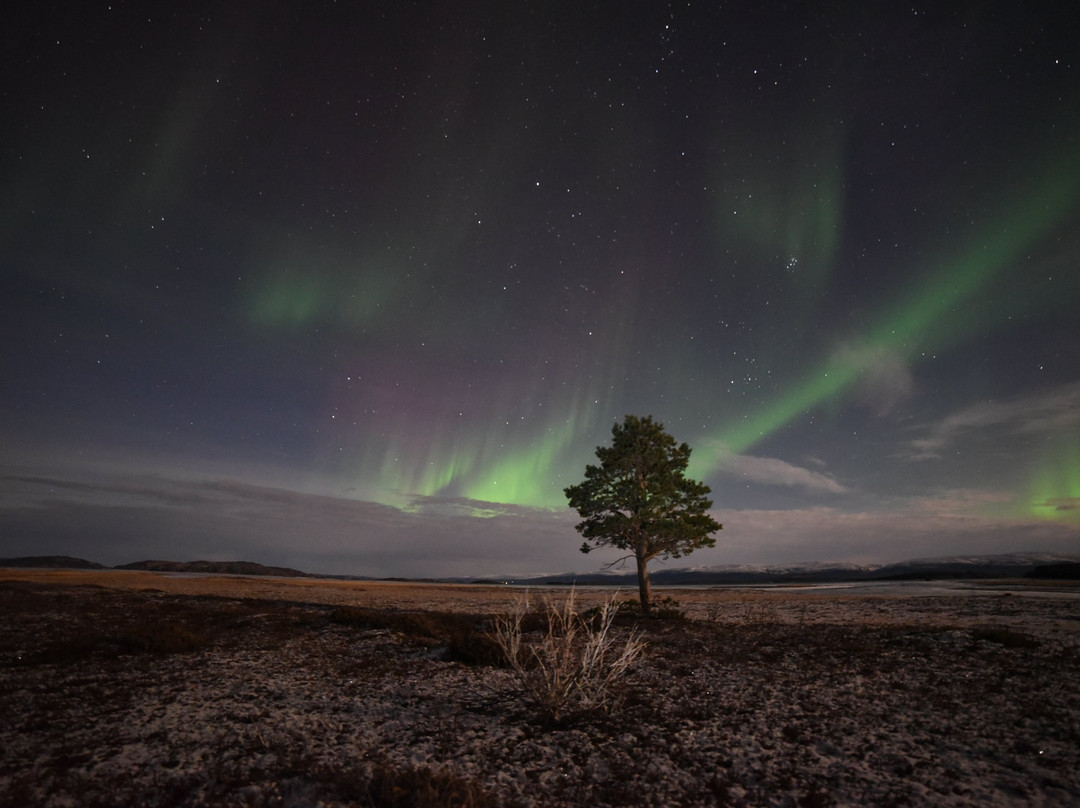Stabbursdalen Lodge主图